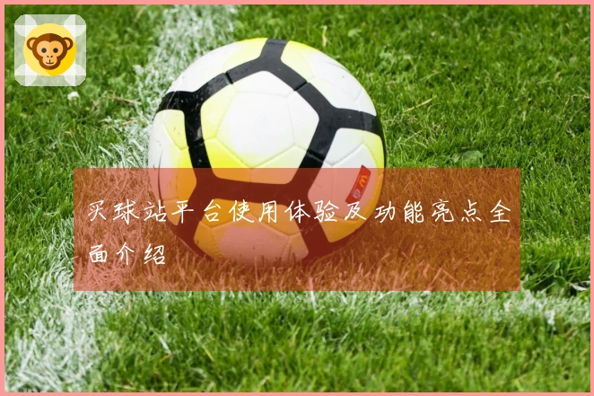 买球站平台使用体验及功能亮点全面介绍