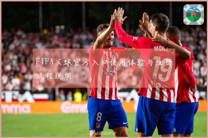 FIFA买球官方入口使用体验与注册流程说明
