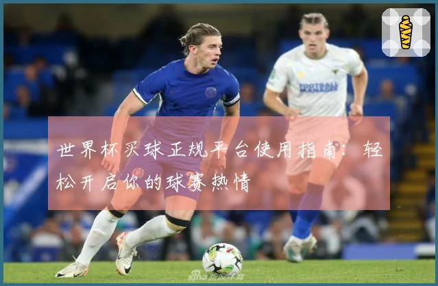 世界杯买球正规平台使用指南：轻松开启你的球赛热情