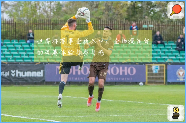 世界杯赛事全新入口，全面提高你的观赛体验与参与感