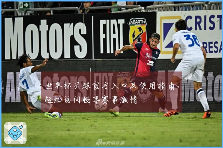 世界杯买球官方入口及使用指南，轻松访问畅享赛事激情