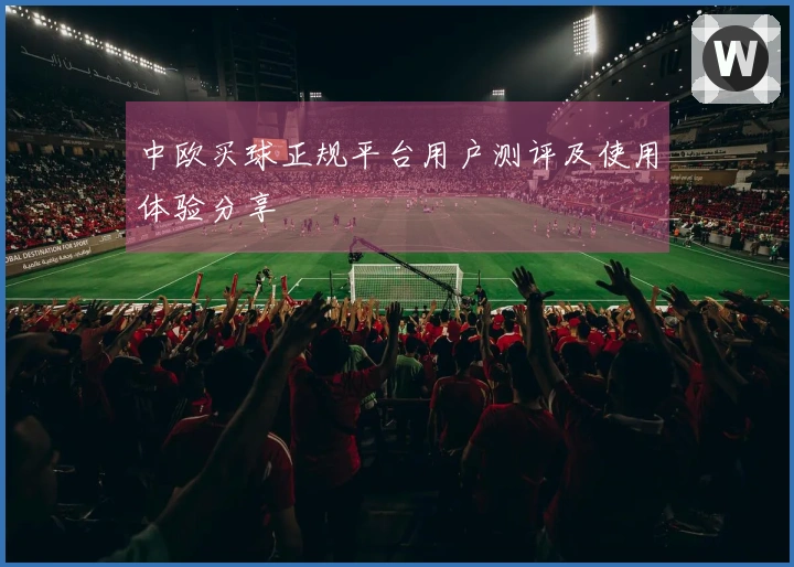 中欧买球正规平台用户测评及使用体验分享